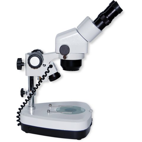 Binocular Microscope ZTX E C2